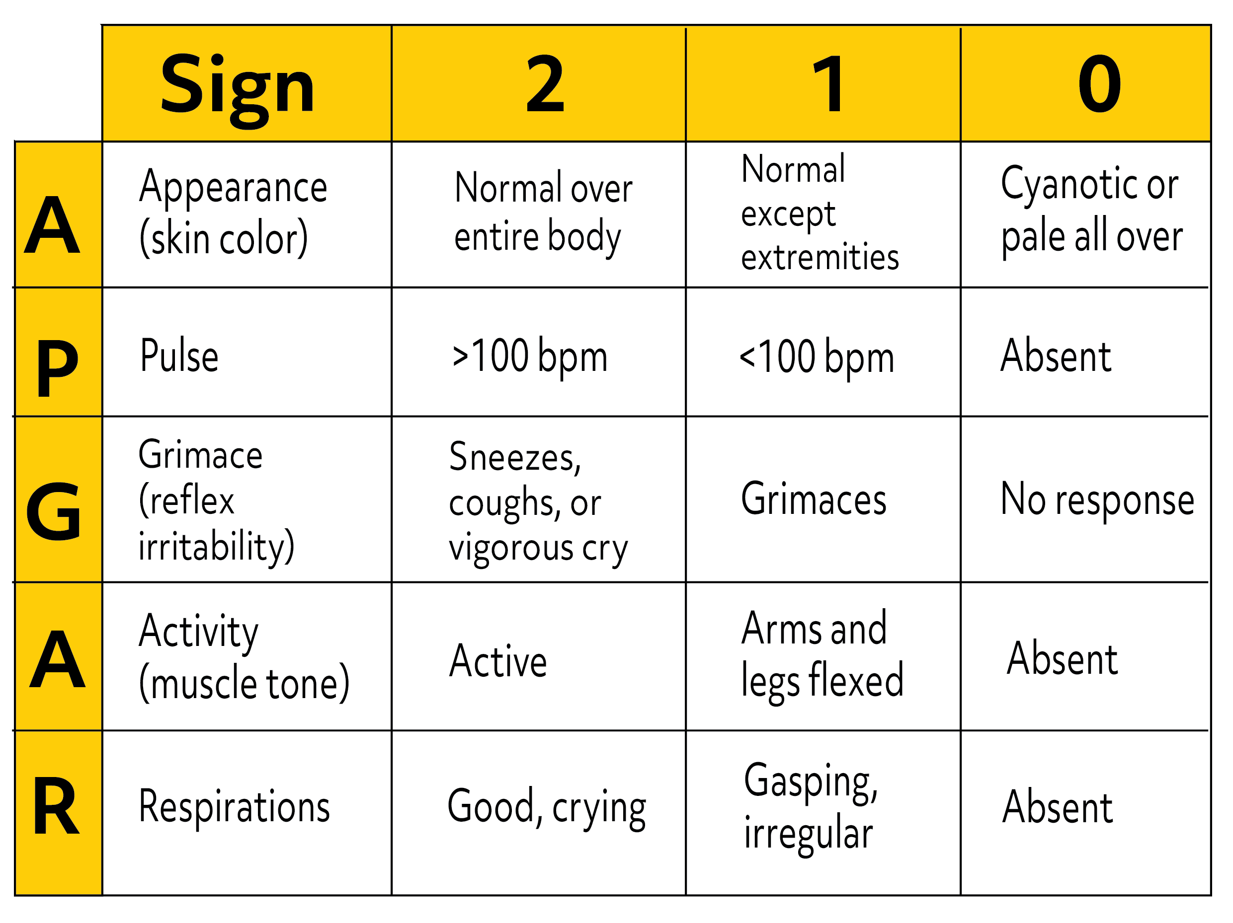 What Is A Newborn Apgar Score Video 