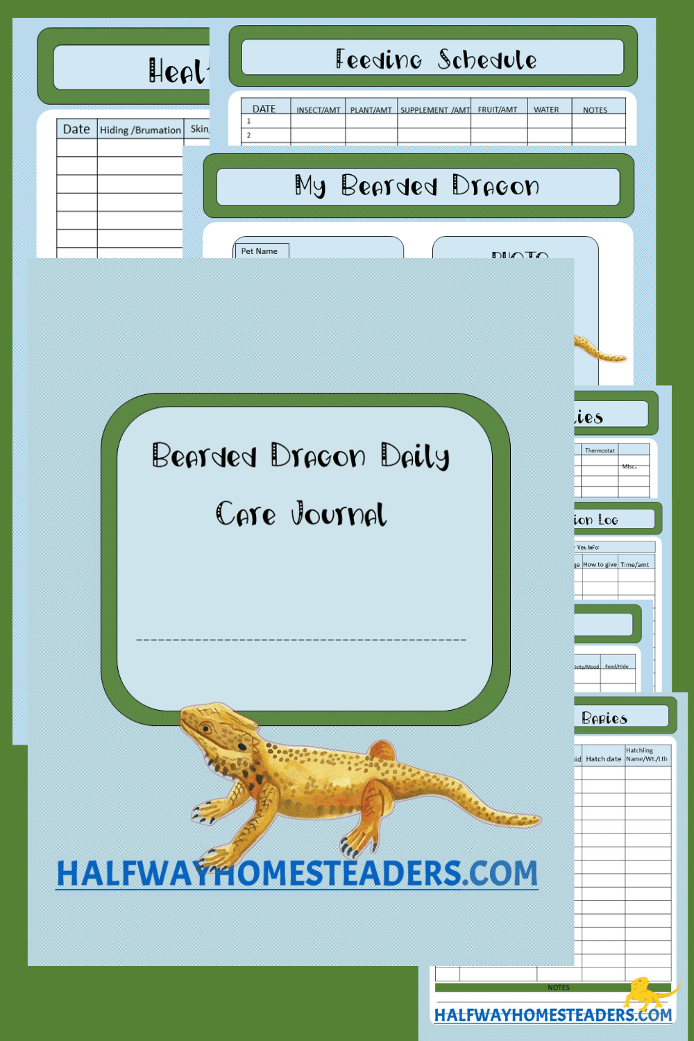 What Items Do You Need For Your Bearded Dragon