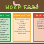 Worm Farming Kat s Garden
