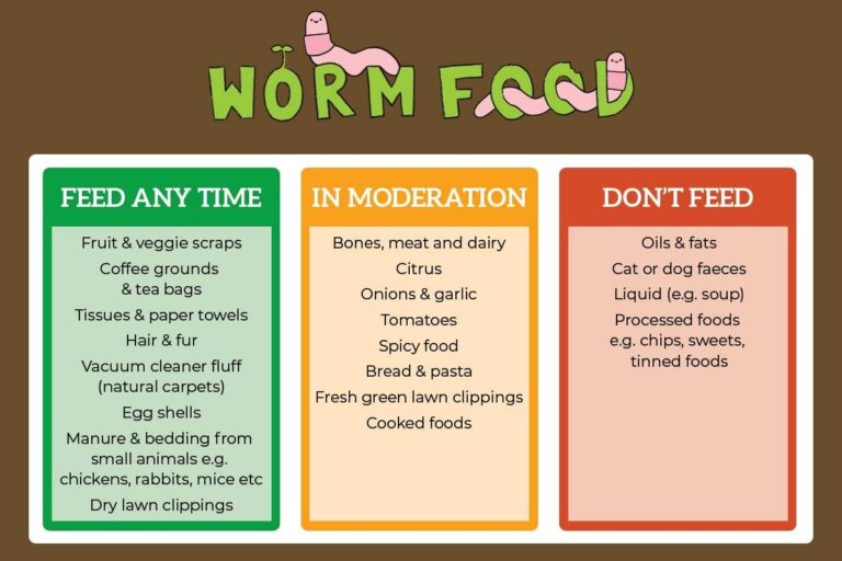 Worm Farming Kat s Garden