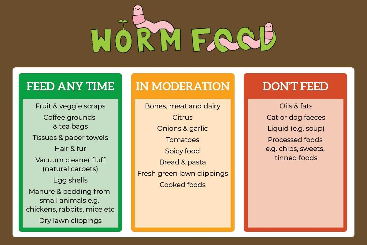 Worm Farming Kat s Garden