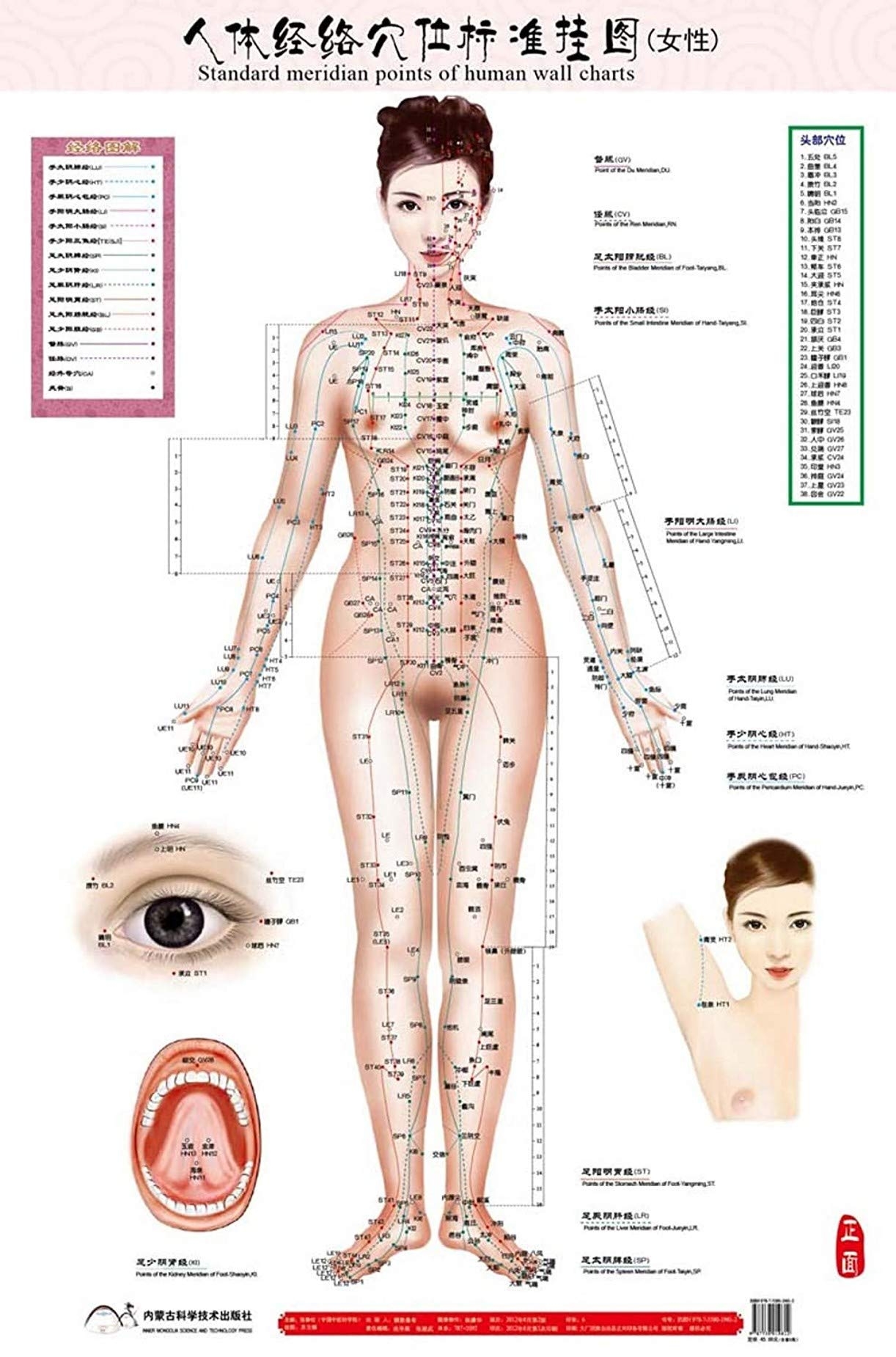 ZHONGJIUYUAN 6 Stlye Female Male Acupressure Chart Points U0026 Meridians Map 35x23inch Amazon ca Office Products