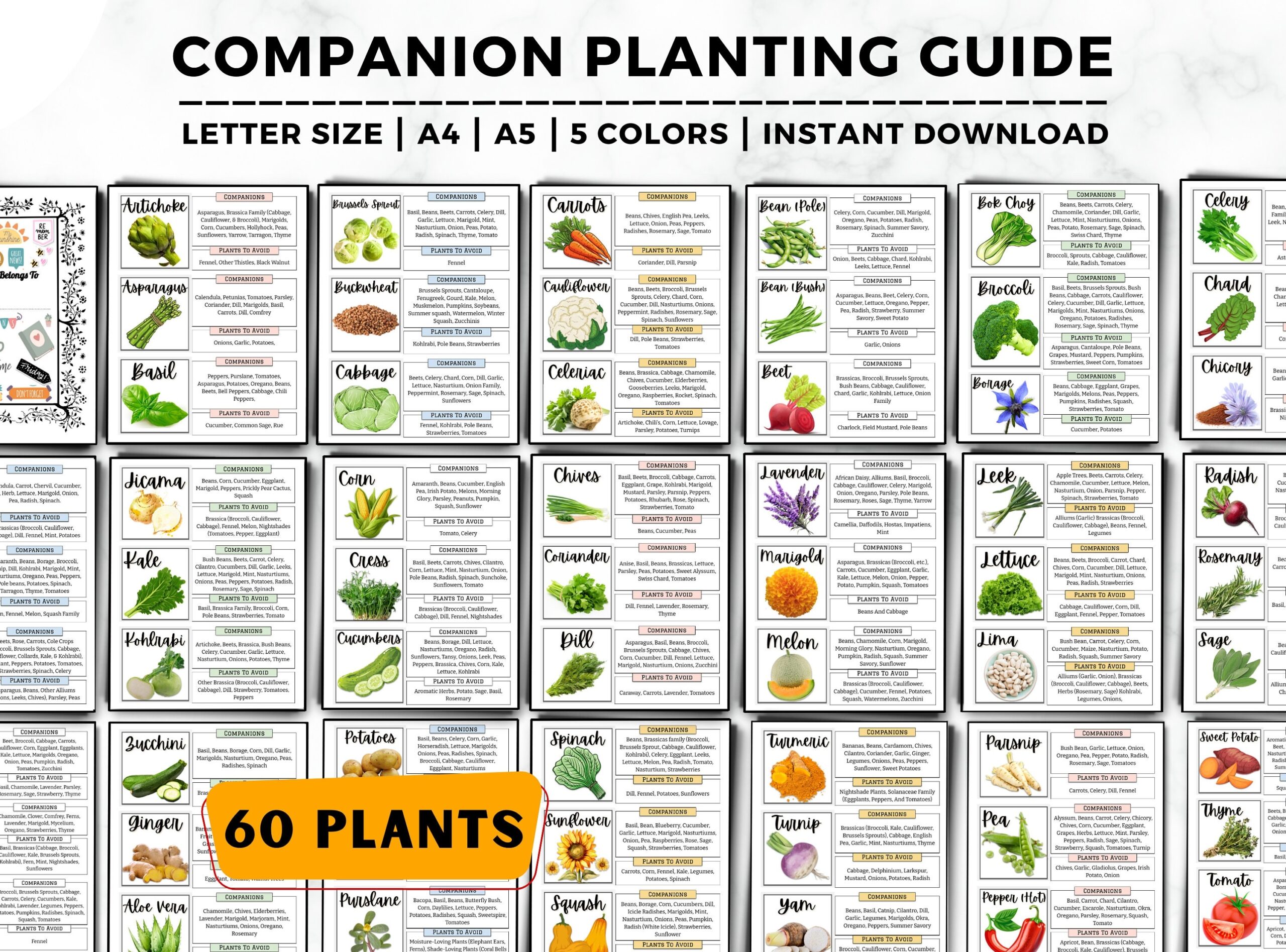 Companion Planting Guide Garden Planner Companion Plant Garden 