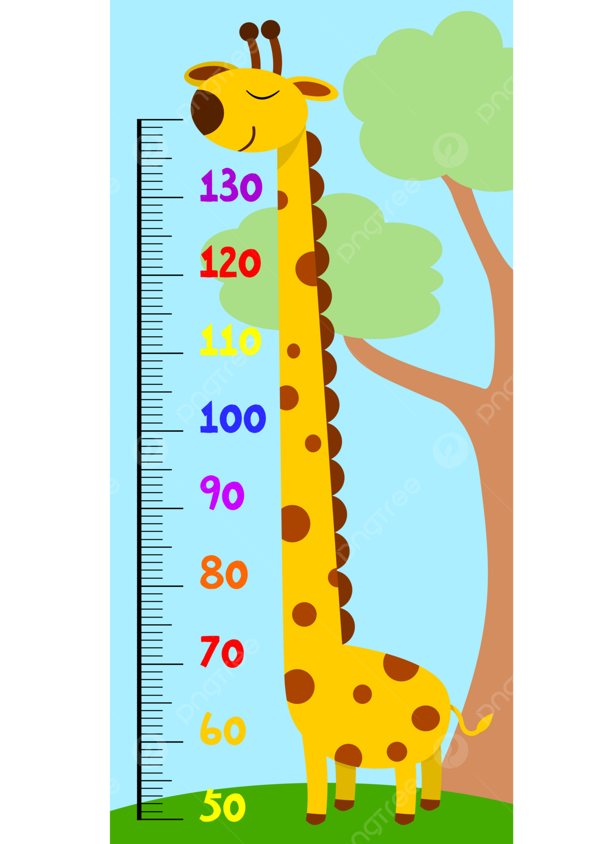 Height Chart Printable