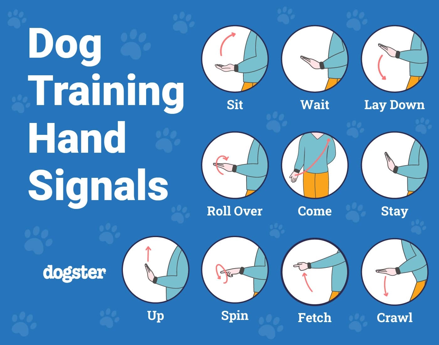 10 Basic Dog Training Hand Signals How To Use Them With Infographic Dogster