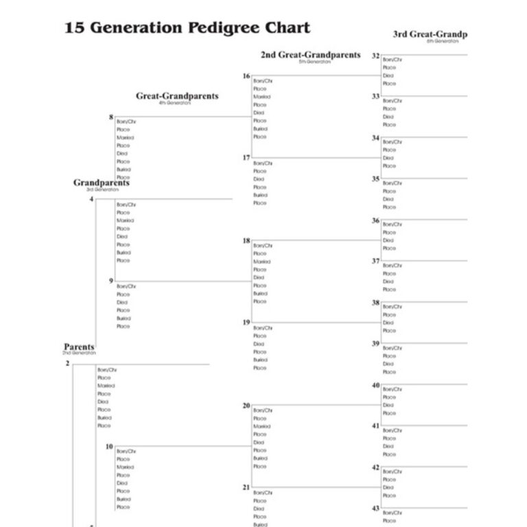 12 Generation Pedigree Chart Single In LDS Temple Gifts On LDSBookstore