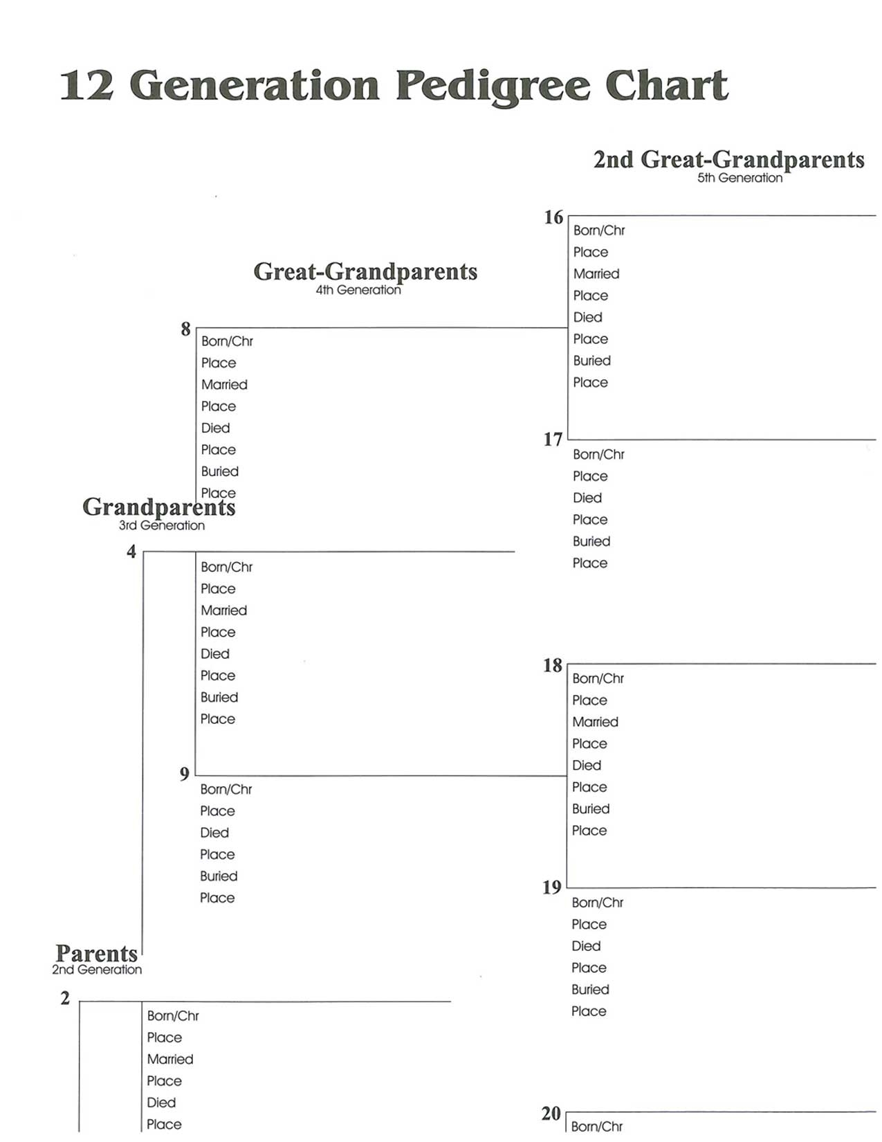 12 Generation Wall Chart Jigsaw Genealogy