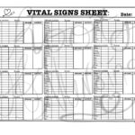 12 Patient Vital Signs Sheet Etsy