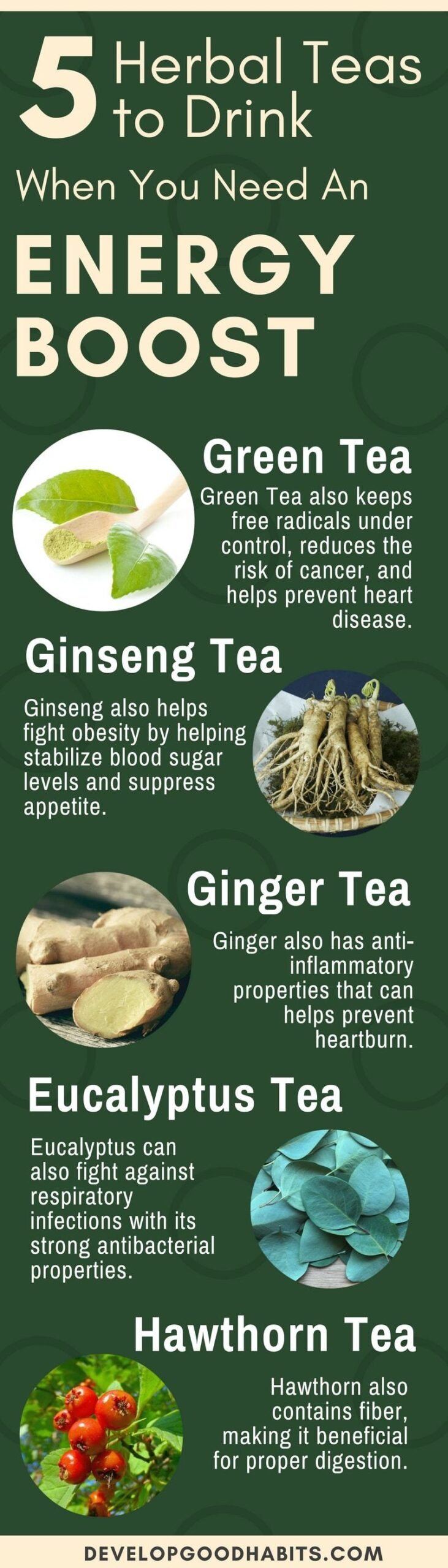 30 Types Of Herbal Teas and Their Benefits Develop Good Habits