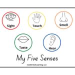 5 Senses Printable Preschool Poster Kindergarten Readiness Kids Playroom Decor Classroom Resources Etsy