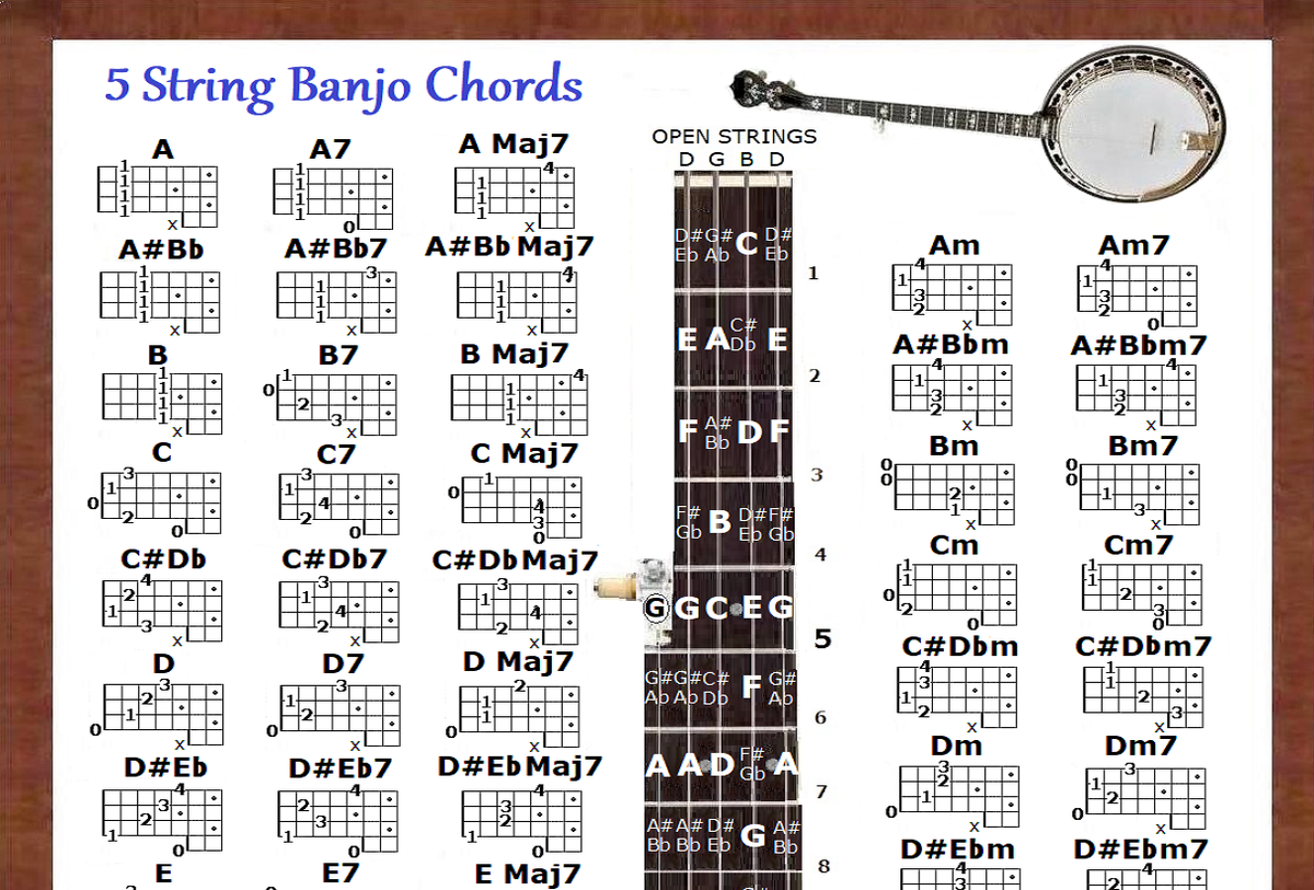 5 STRING BANJO CHORDS CHART EBay