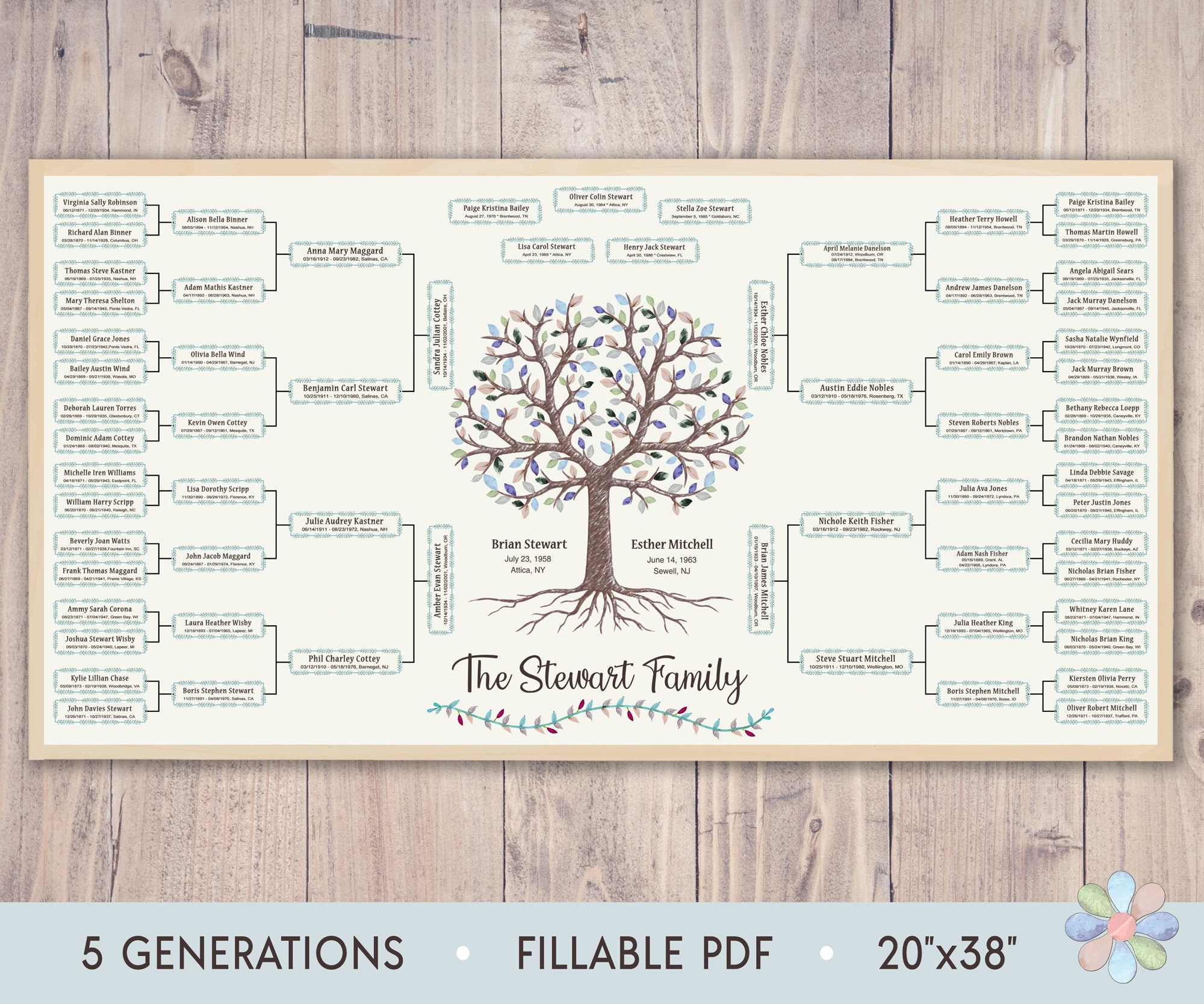 50 Sheets 3 Hole 12th Generation Family Group Sheets 8 5 11 Inch Blank Genealogy Forms Two Sided Family Tree Charts Genealogy Worksheets Family Tree Diagrams For Research Ancestry Family History