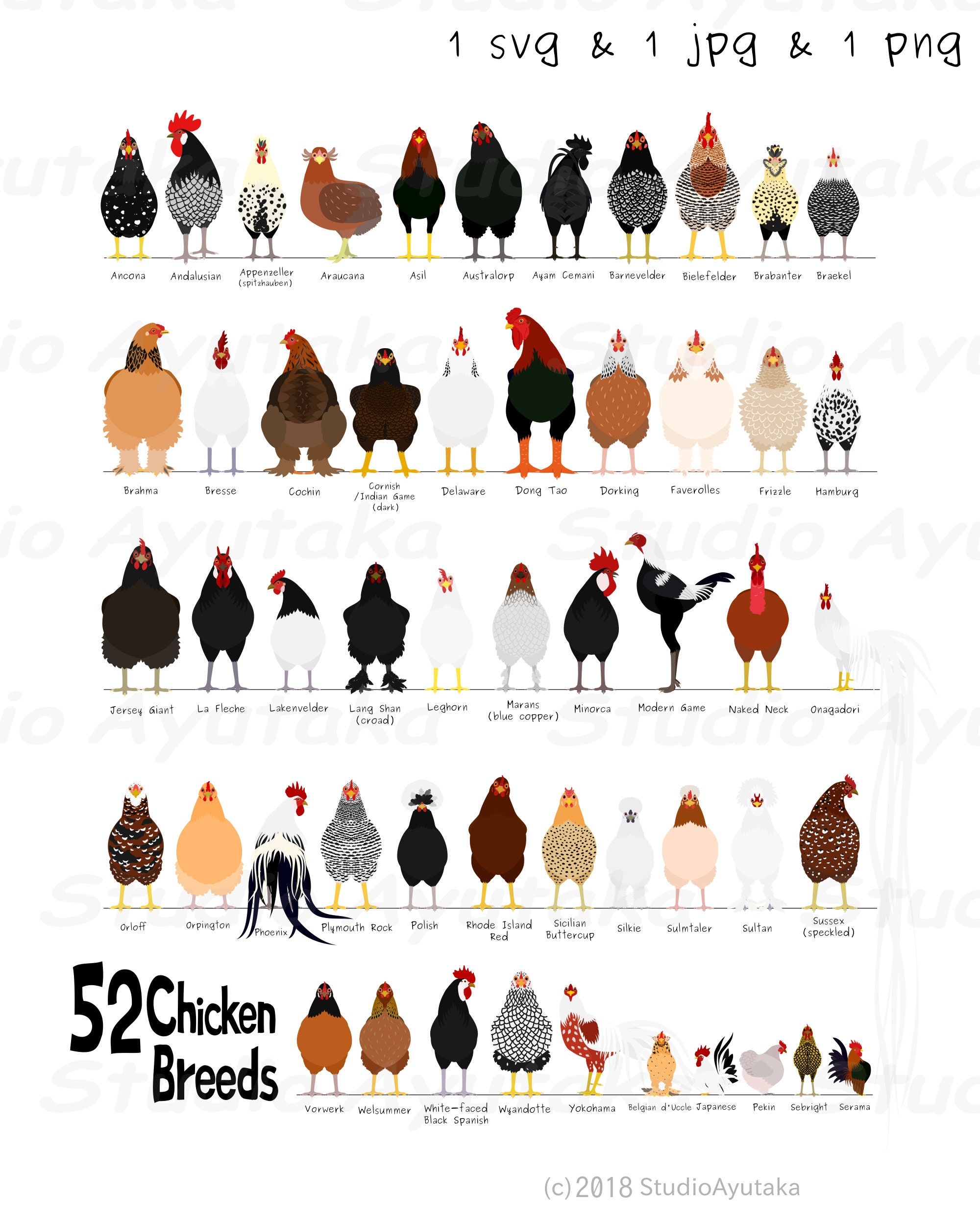 52 Breeds Of Chicken Digital Chart Svg Jpg Png 16 20 Etsy