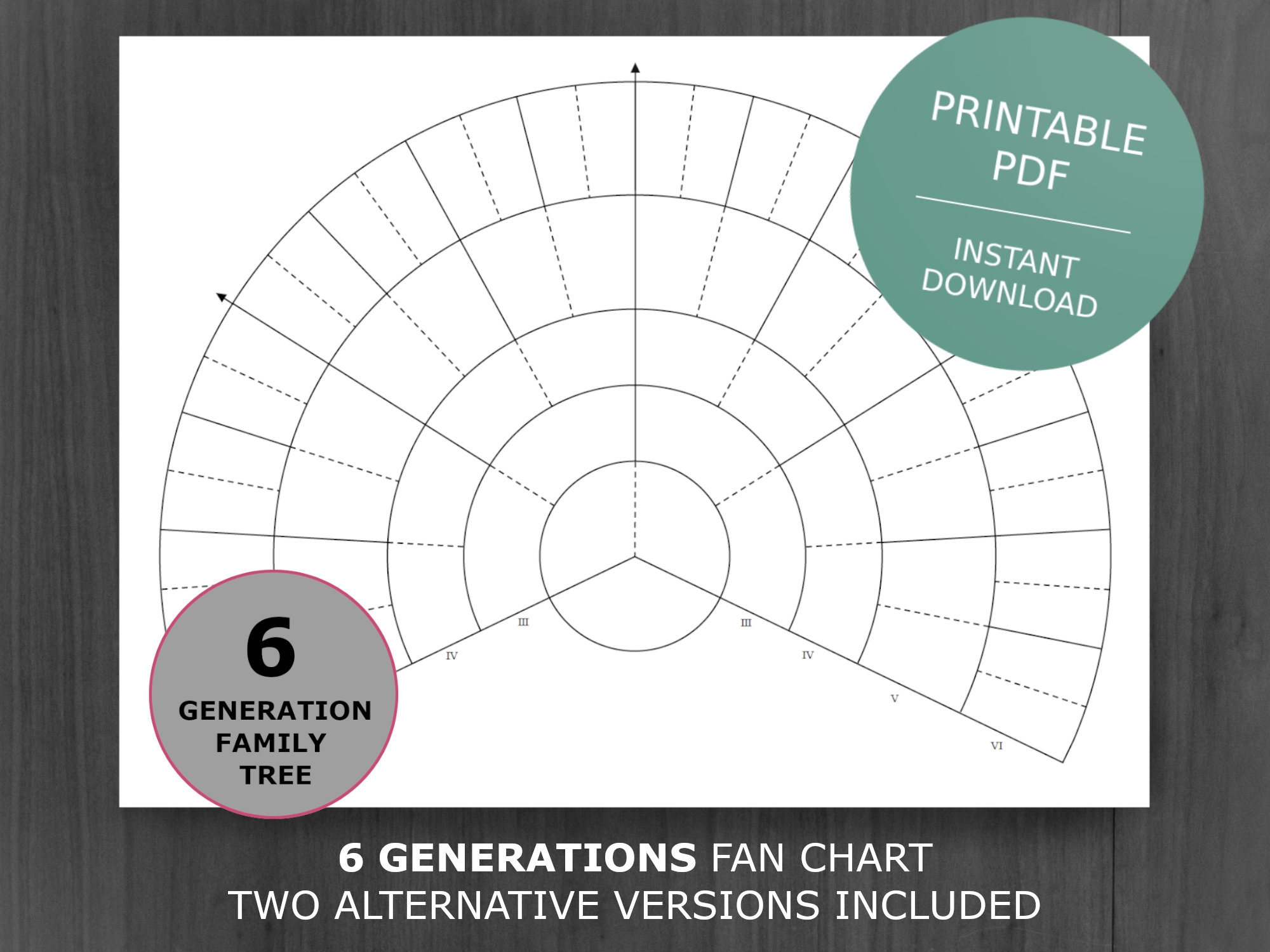 6 Generation Family Tree Fan Chart Printable Genealogy Template PDF Etsy
