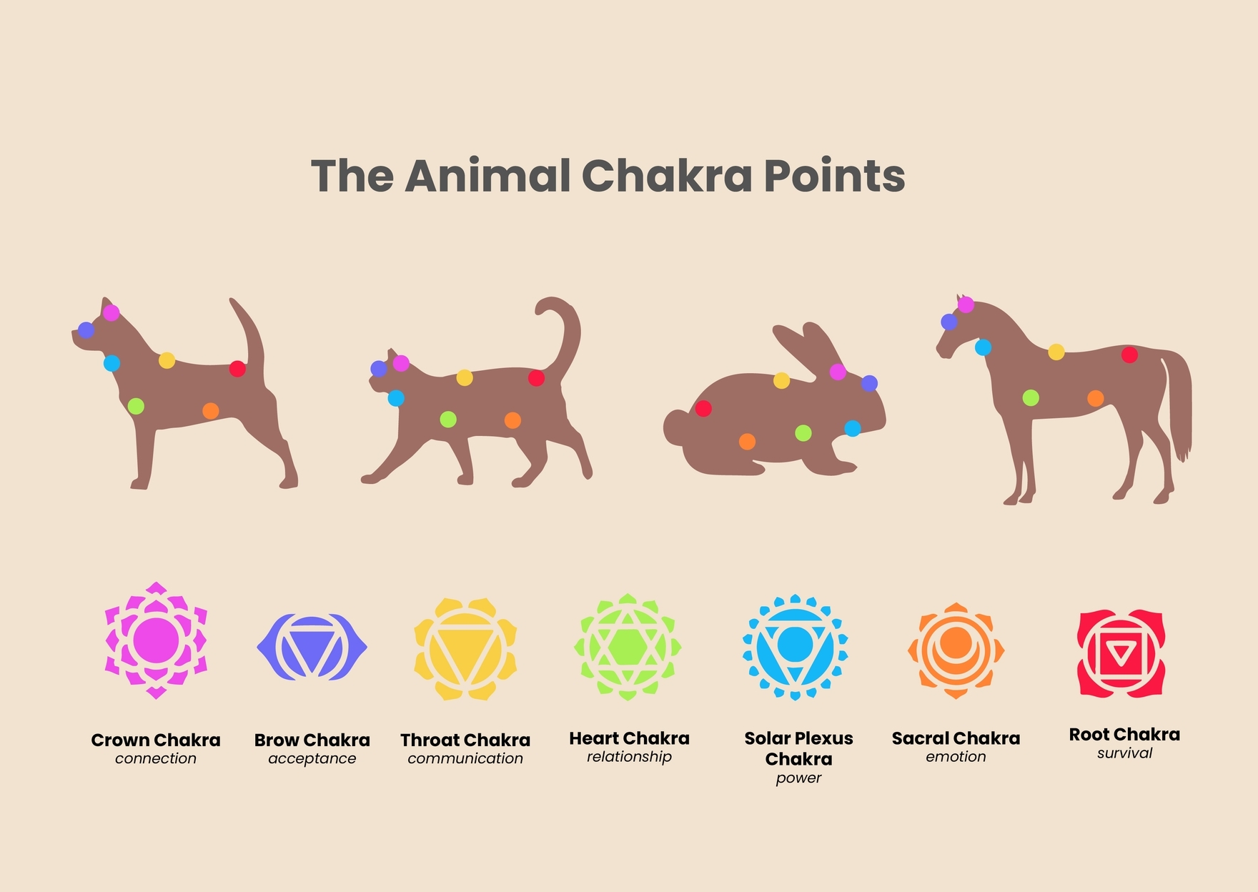 7 Chakra Animal Pet Chart In Illustrator PDF Download Template