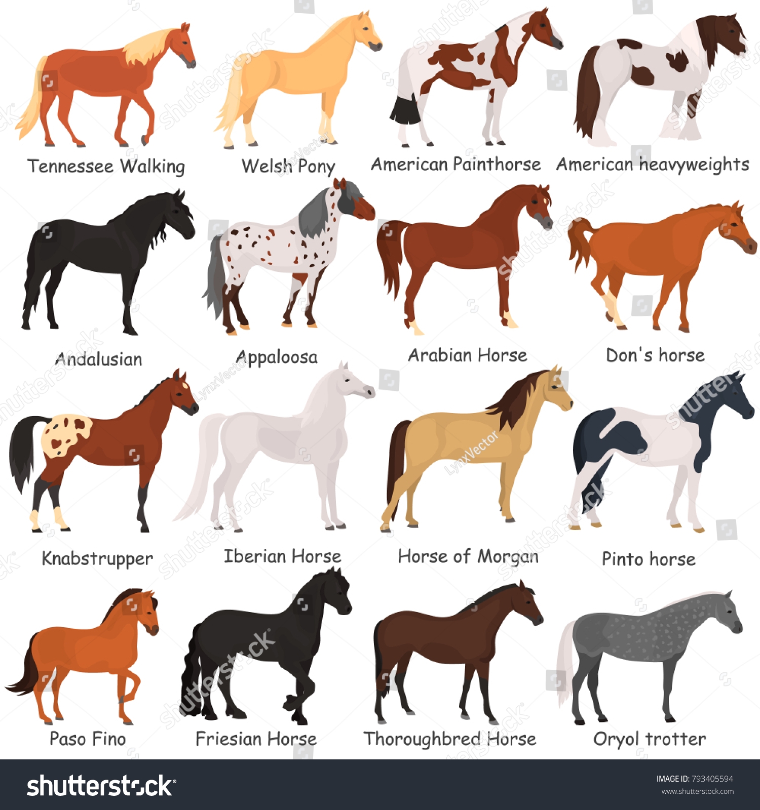 7 Thousand Horse Breed Icon Royalty Free Images Stock Photos Pictures Shutterstock