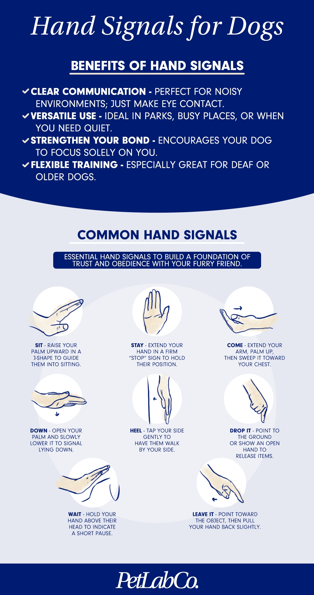 8 Effective Hand Signals For Better Communication With Dogs PetLab Co