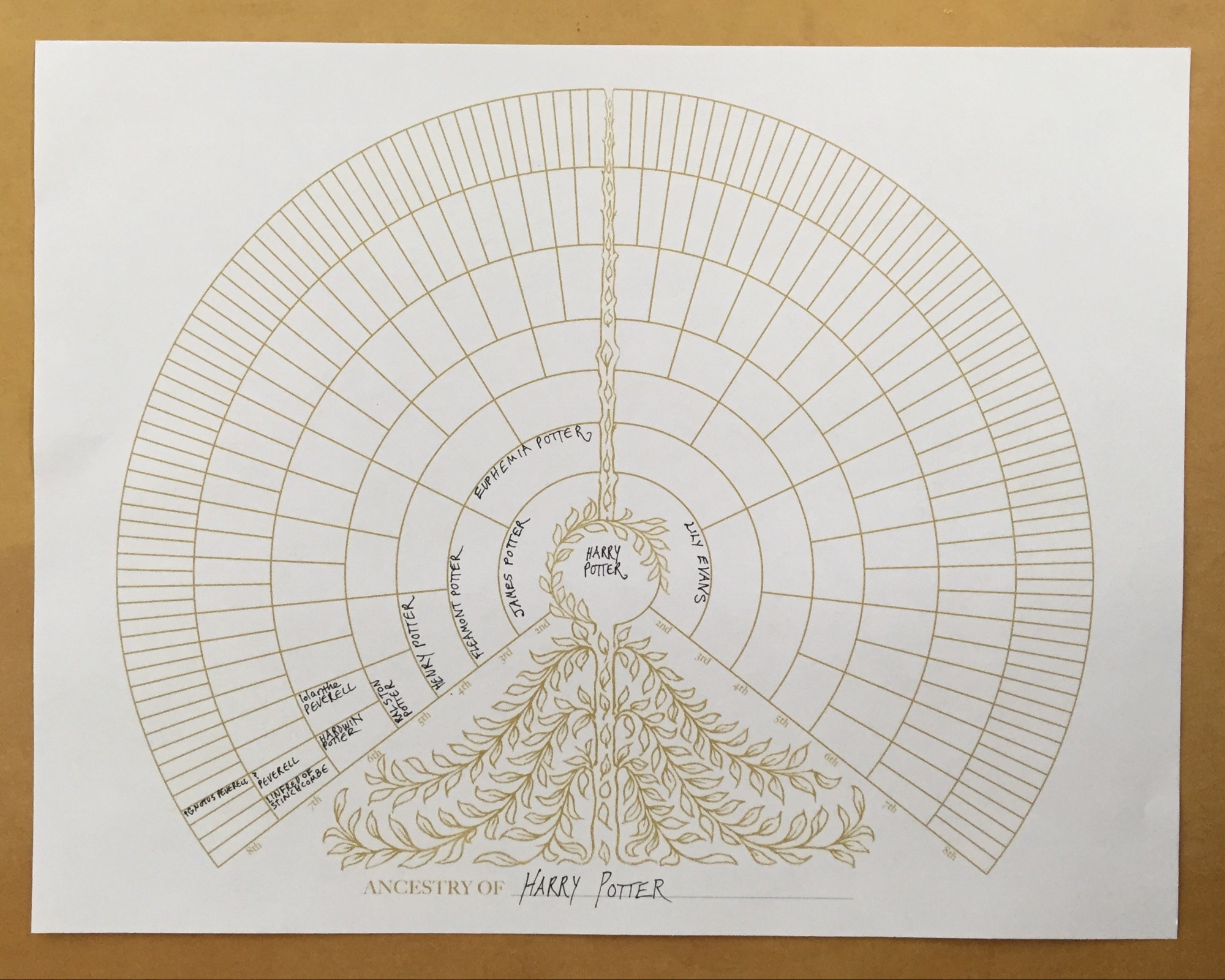 Pdf Free Printable Genealogy Fan Chart