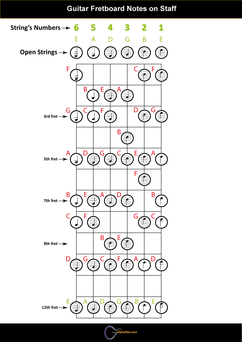 A Helpful Illustrated Guitar Fretboard Notes Guide 
