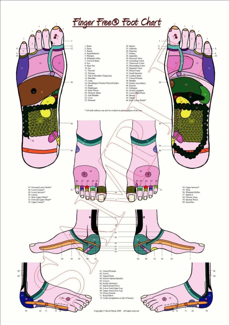 A1 Reflexology Foot Chart