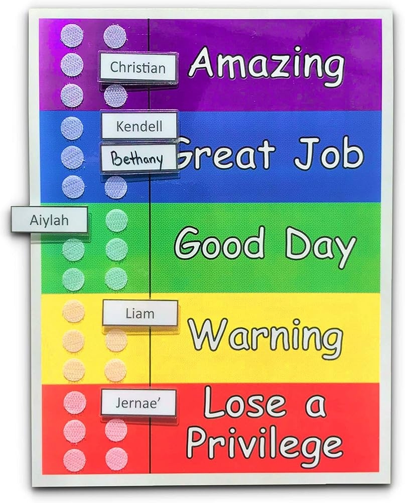 Amazon Behavior Chart For Multiple Kids Use With 1 To 6 Kids Made To Order With Your Names Names Are Laminated And Completely Movable Encourage Positive Behavior With This Thermometer Style Behavior
