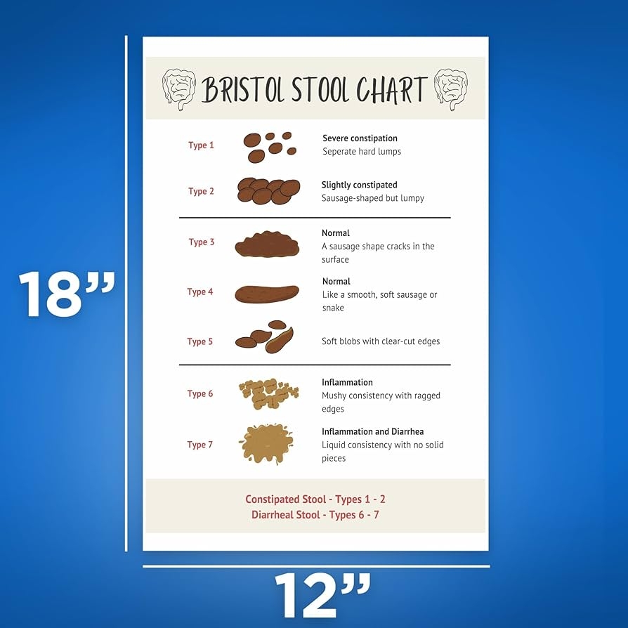 Amazon Bliss Monkey Co Bristol Stool Chart Gastrointestinal Health Chart Digestive System Poster Poop Consistency 12 X 18 Inch Unframed Premium 100lb Gloss Made In USA BMCP0523 Posters Prints
