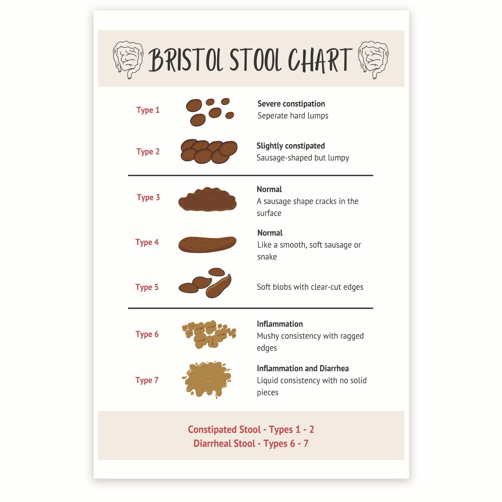 Amazon Bliss Monkey Co Bristol Stool Chart Gastrointestinal Health Chart Digestive System Poster Poop Consistency 12 X 18 Inch Unframed Premium 100lb Gloss Made In USA BMCP0523 Posters Prints Amazon Bliss Monkey Co Bristol Stool Chart Gastrointestinal Health Chart Digestive System Poster Poop Consistency 12 X 18 Inch Unframed Premium 100lb Gloss Made In USA BMCP0523 Posters Prints