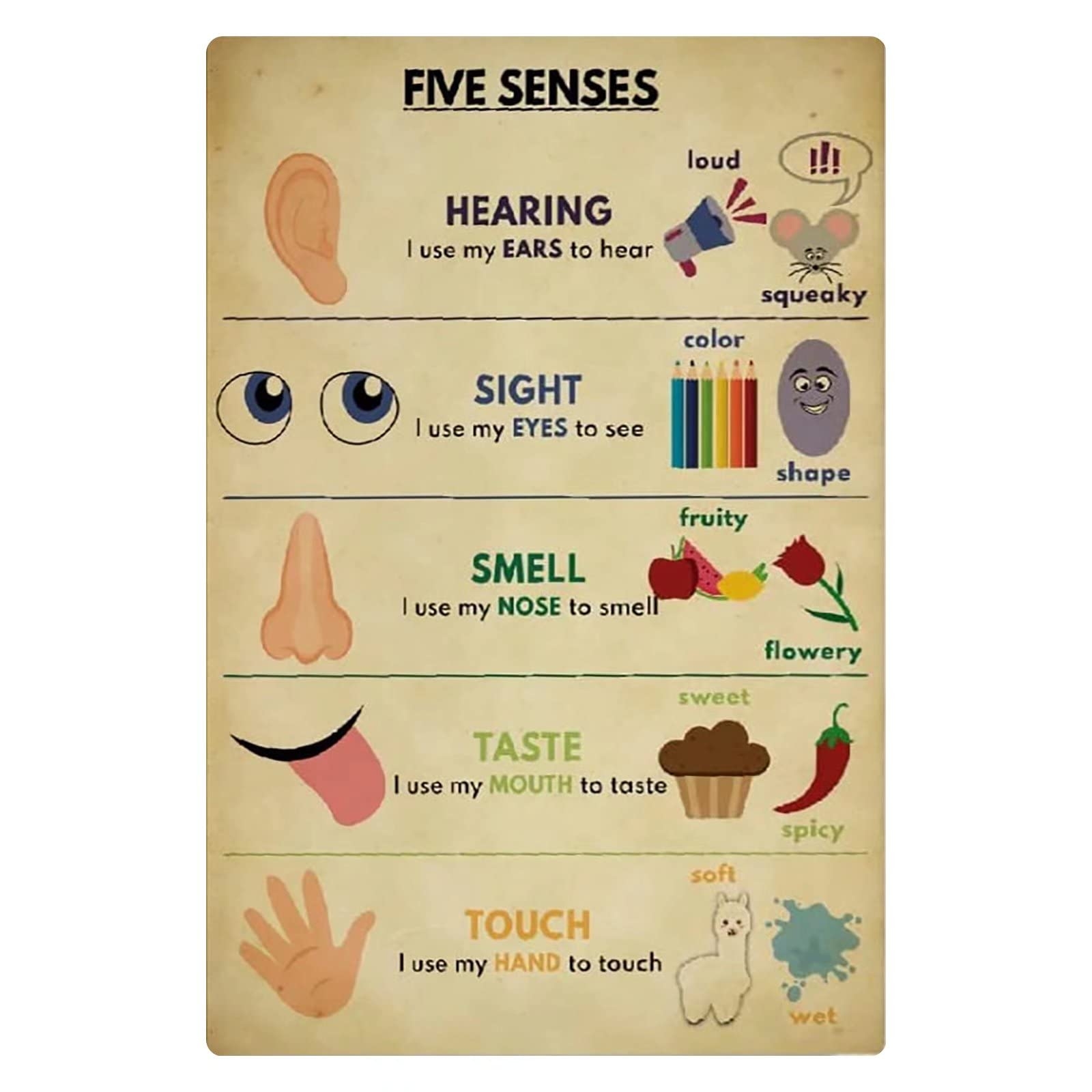 5 Senses Chart Printable