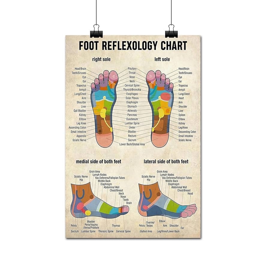 Free Foot Reflexology Chart Printable