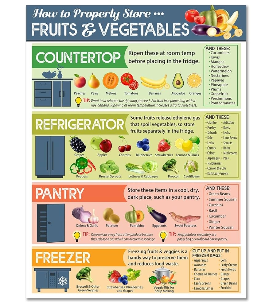 Amazon How To Properly Store Vegetables And Fruit Magnets Kitchen Cheat Sheet Magnet Fruit And Vegetable Magnets For Fridge 6 x8 Helpful Magnetic Cheat Sheet Chart For Storing Produce 