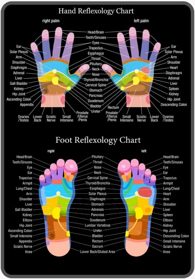 Amazon ICRAEZY Hand Reflexology Chart Metal Tin Sign 8x12 Inch Vintage Retro Sign Decor For House Bar Pub Plaque Poster Wall Art Sign Home Kitchen
