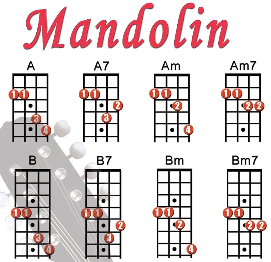 Amazon Mini Mandolin Chord Chart Poster Laminated Mandolin Instrument Chart For Beginners And Musicians Music Theory Poster With 56 Chords Mandolin Accessories 8 5 X 11 Walrus Productions Musical Instruments