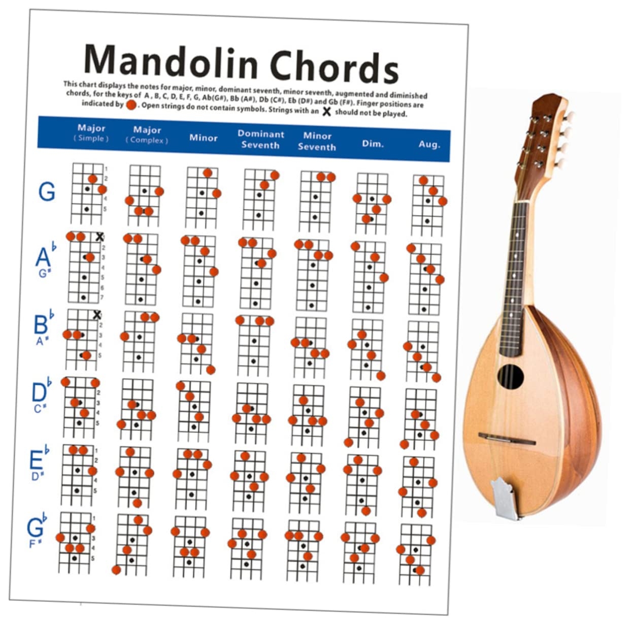 Amazon OFFSCH Mandolin Chord Chart Laminated Book For Beginners Large Size Mandolin Diagram Musical Instruments