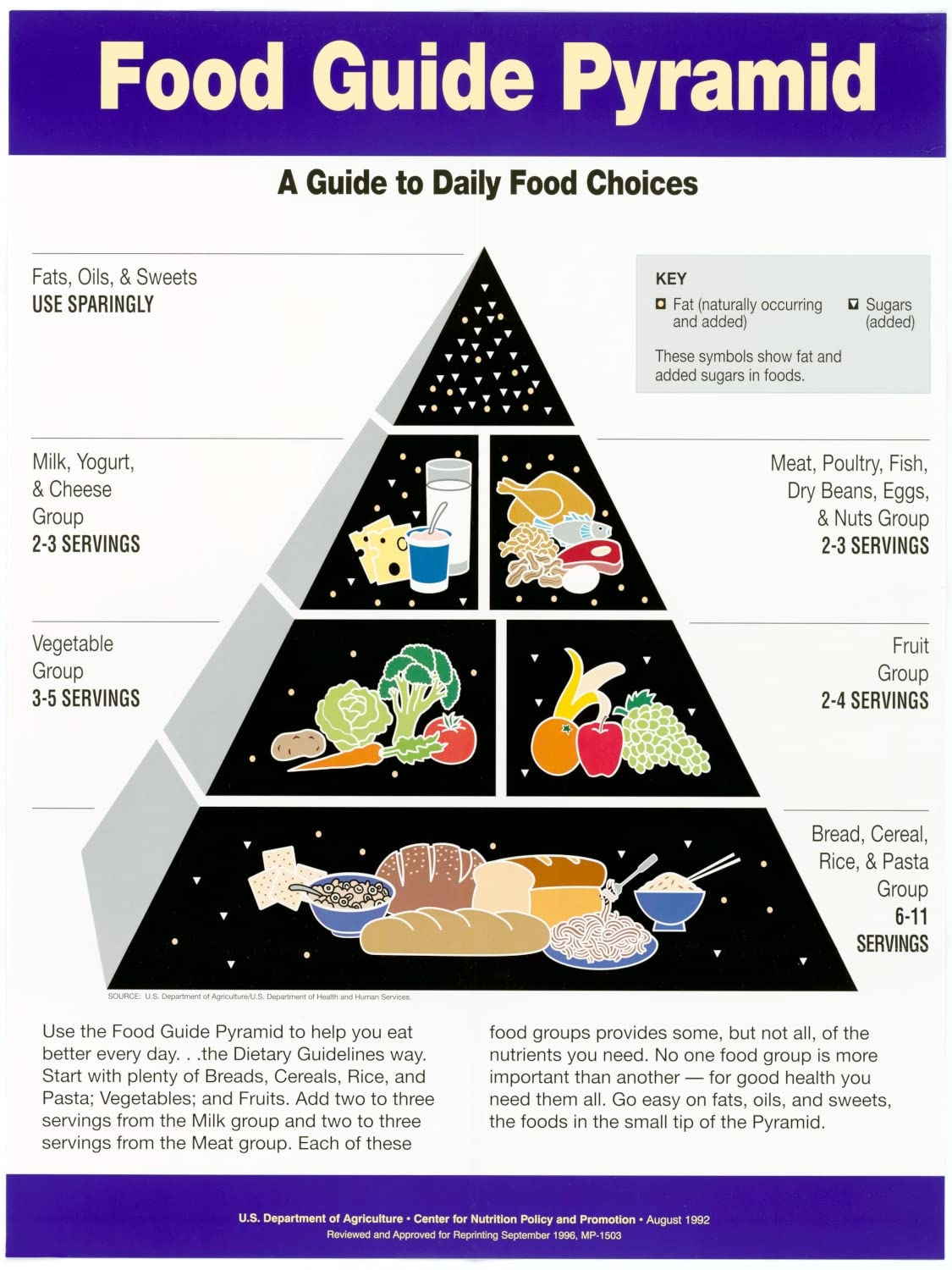 Amazon Retro 1990s Food Guide Pyramid Daily Food Choice Diagram Chart Poster Print Various Sizes 18 X 24 In Office Products