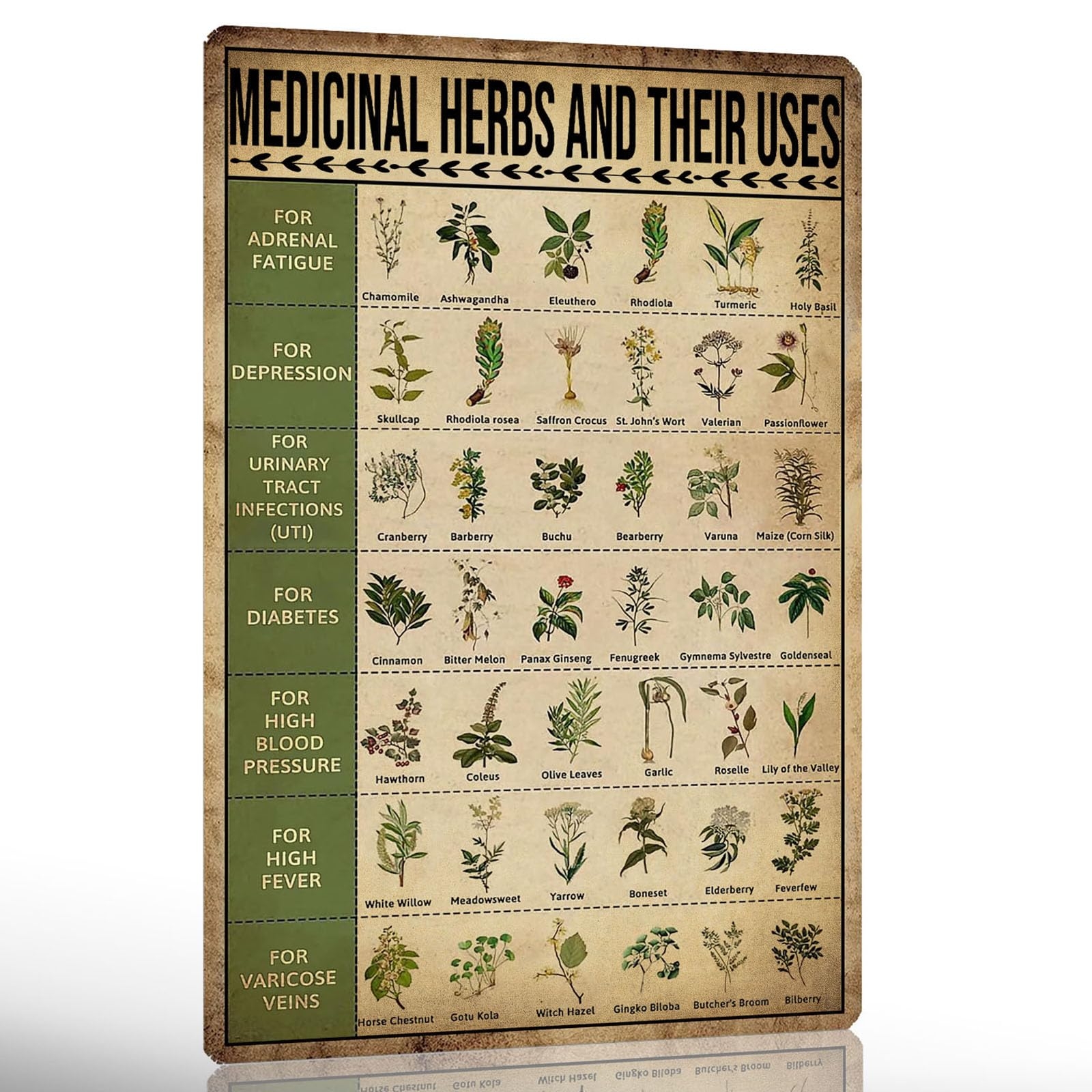 Amazon Vintage Herb Knowledge Metal Tin Sign Homesteading Knowledge Poster Plant Signs Planting Guide Chart Herb Decor Medicinal Herbs And Their Uses Posters 8x12 Inch Home Kitchen
