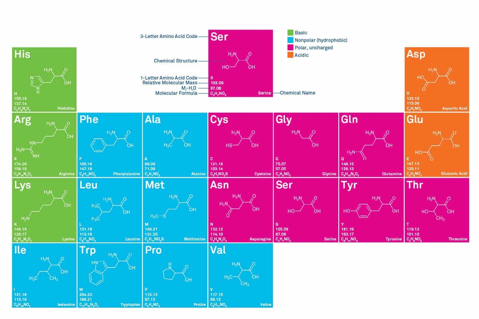 Amino Acids Chart Bachem