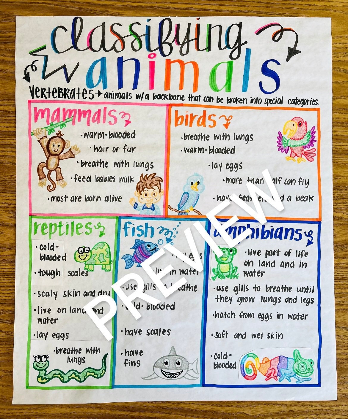 Animal Classification Anchor Chart Etsy Israel
