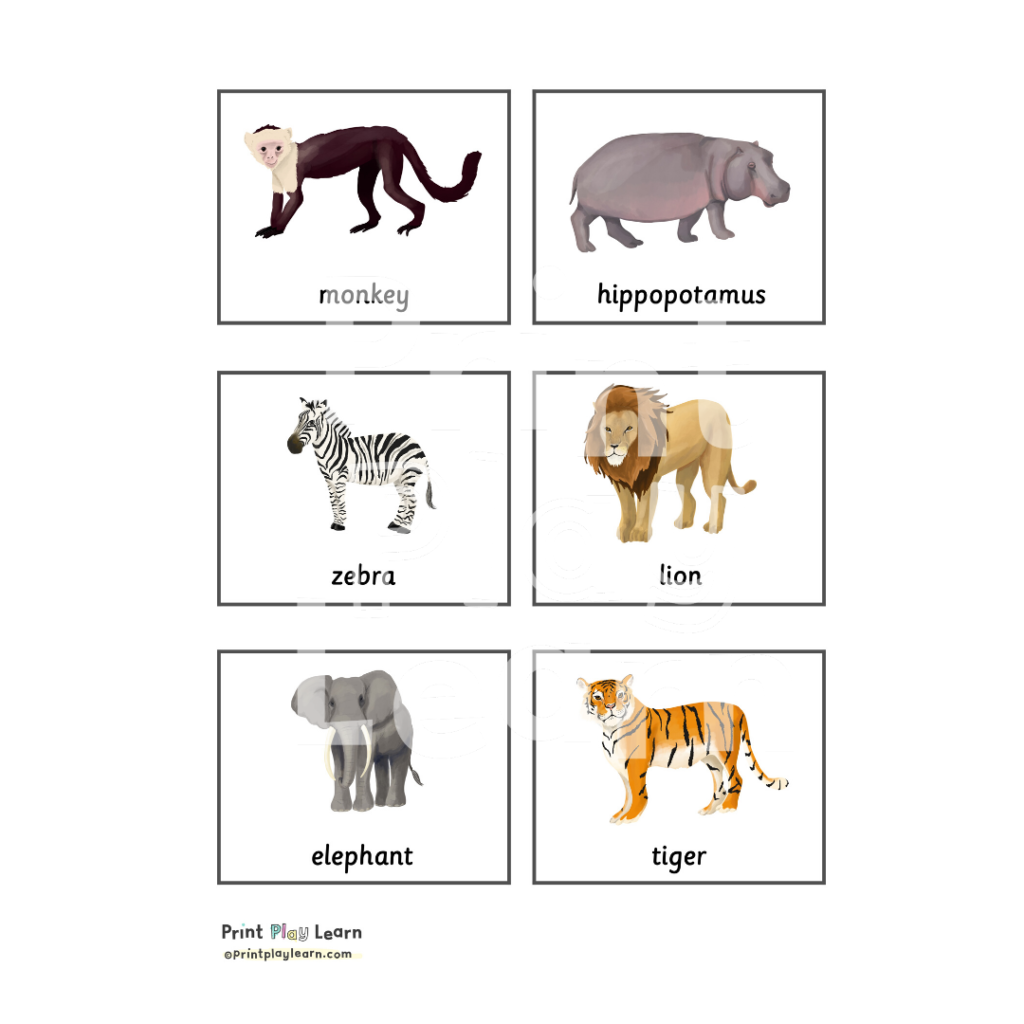 Animal Classification Chart Printable