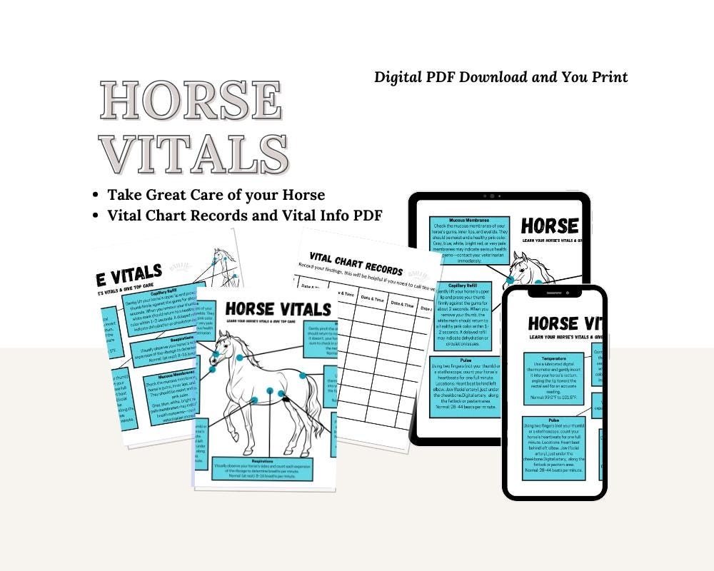 Barn Horse Vitals Chart Equine Health Tracker printable Download Etsy
