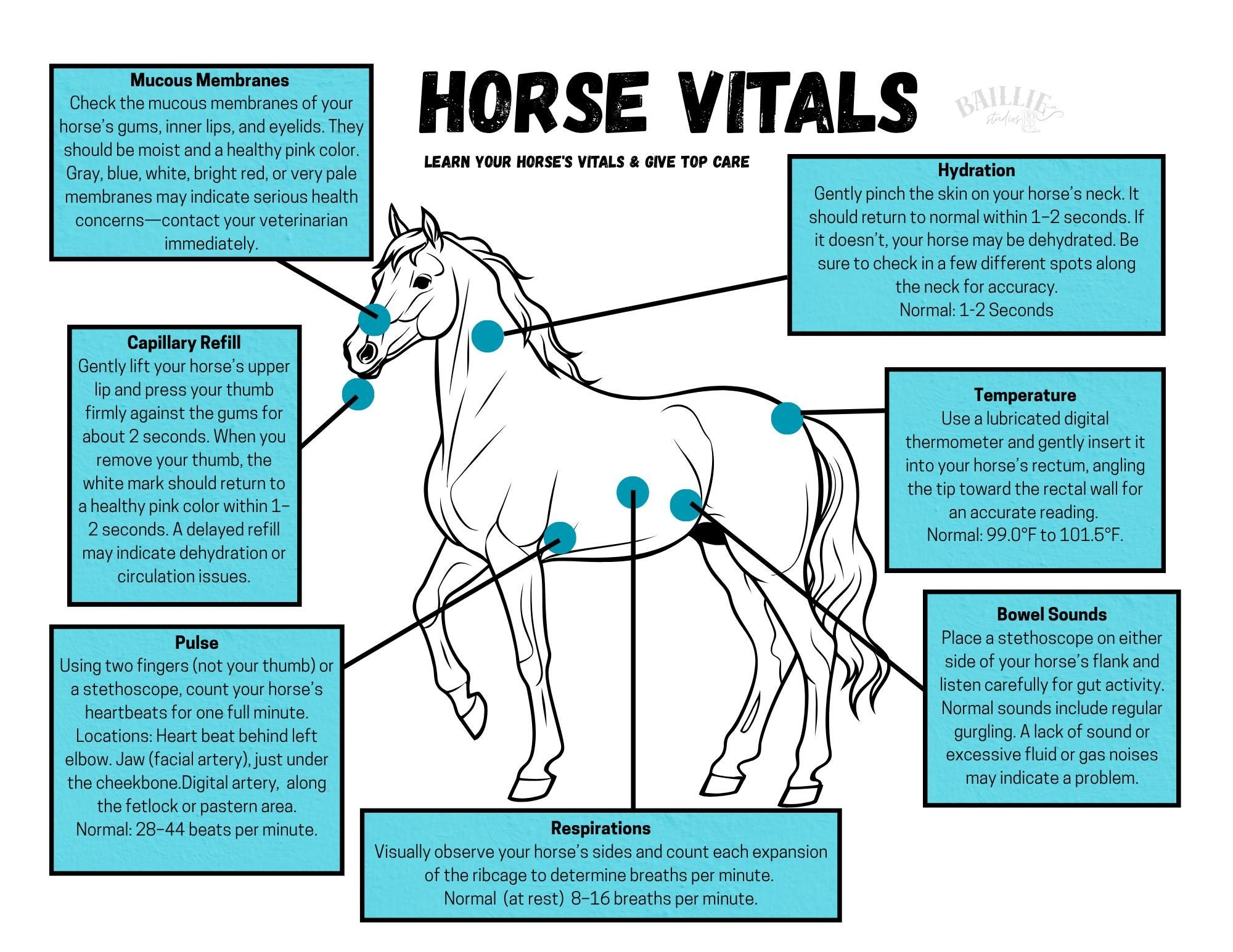 Barn Horse Vitals Chart Equine Health Tracker printable Download Etsy
