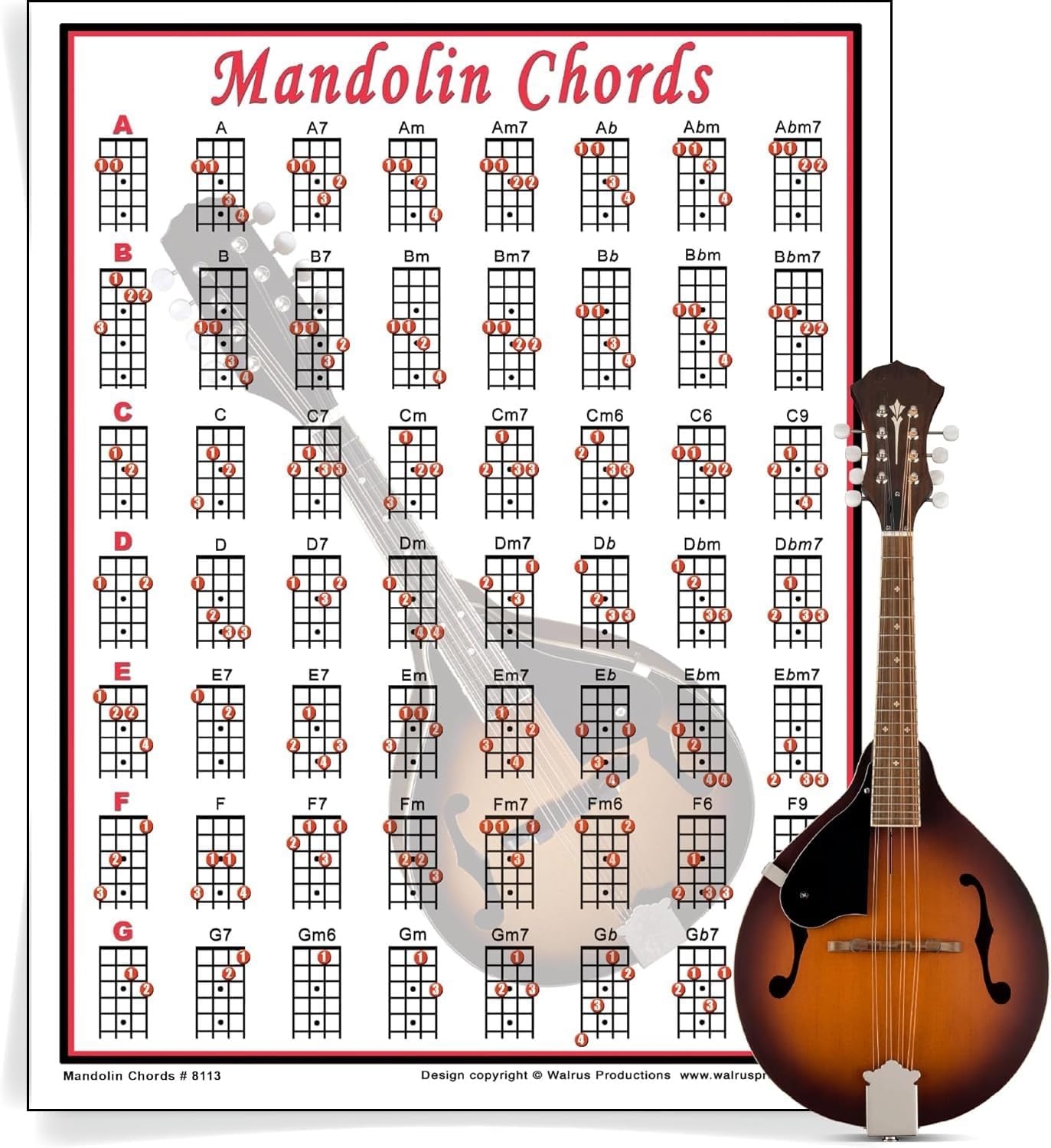 Beginner Mandolin Chords Mandolin Chord Chart Durable Practice Guide For Mandolin Beginners Guitar Chord Chart