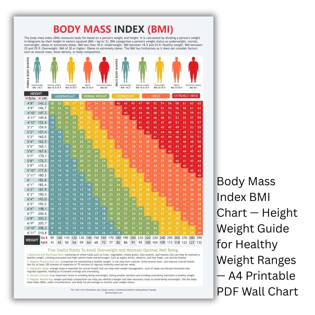 BMI Chart Height Weight Guide Printable A4 PDF Etsy