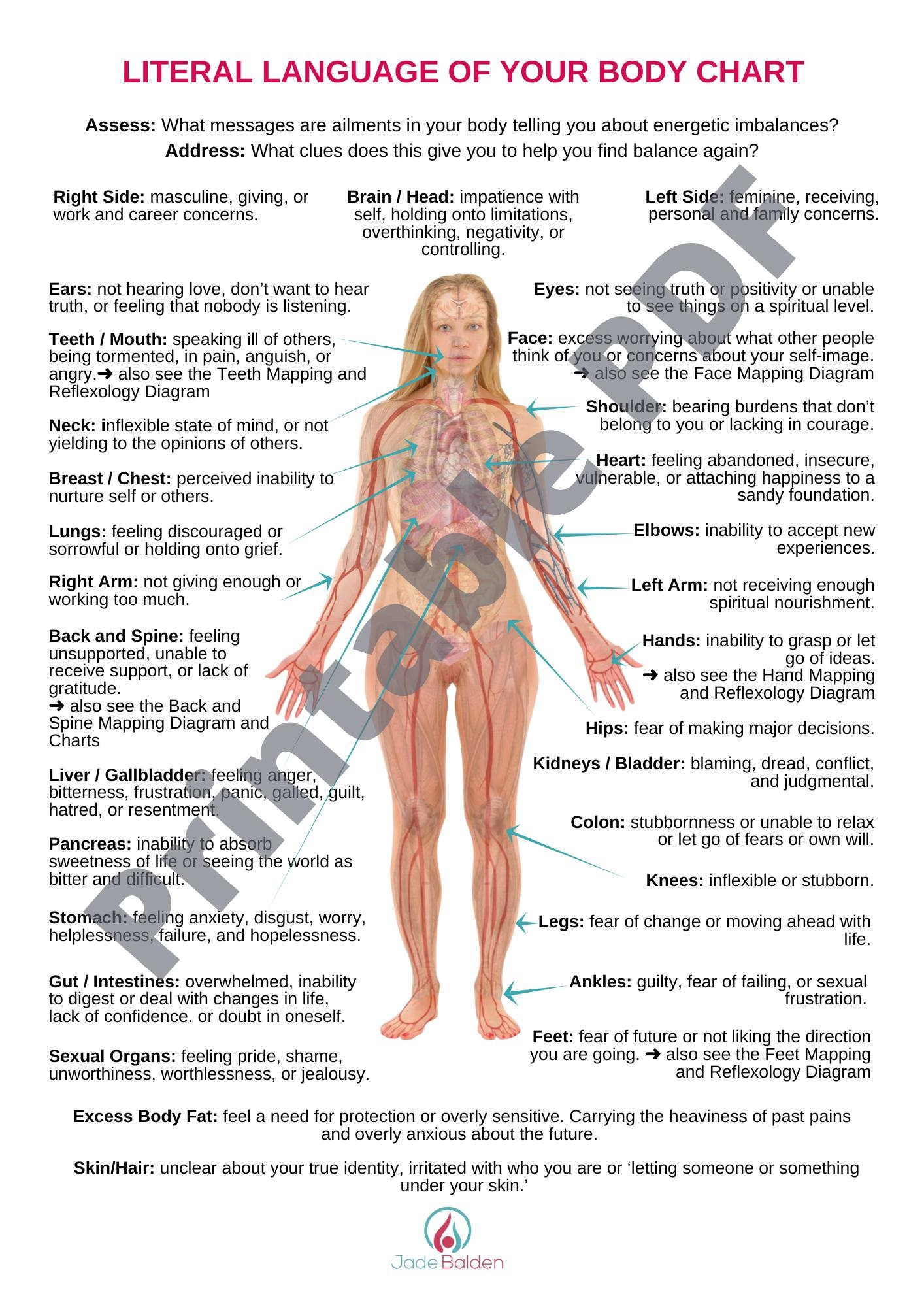 Body Code Chart Etsy New Zealand
