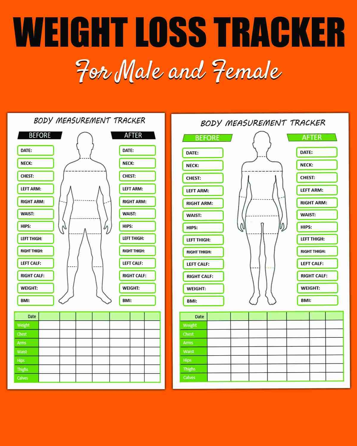 Body Size Chart Template