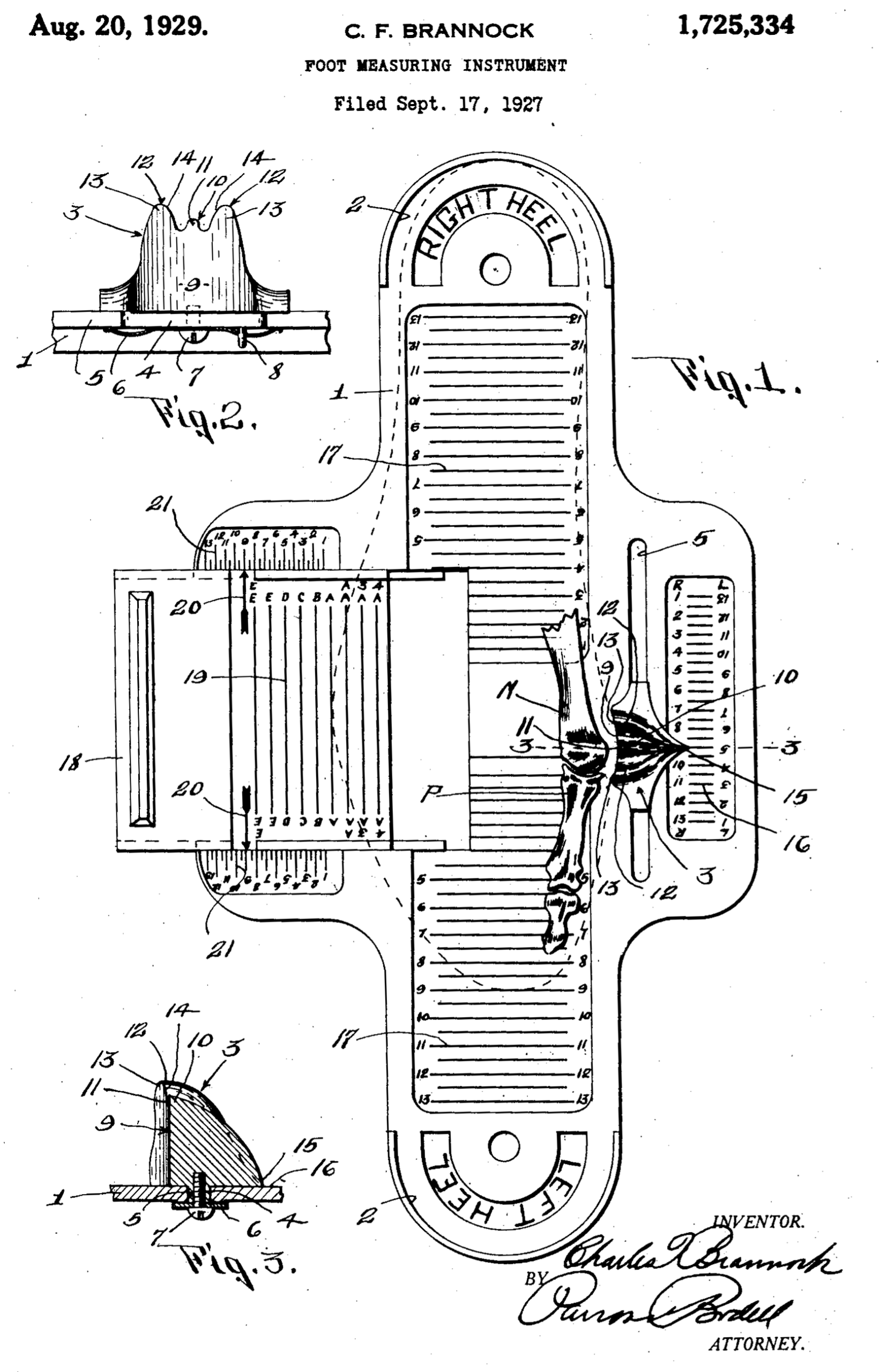 Brannock Device Wikipedia