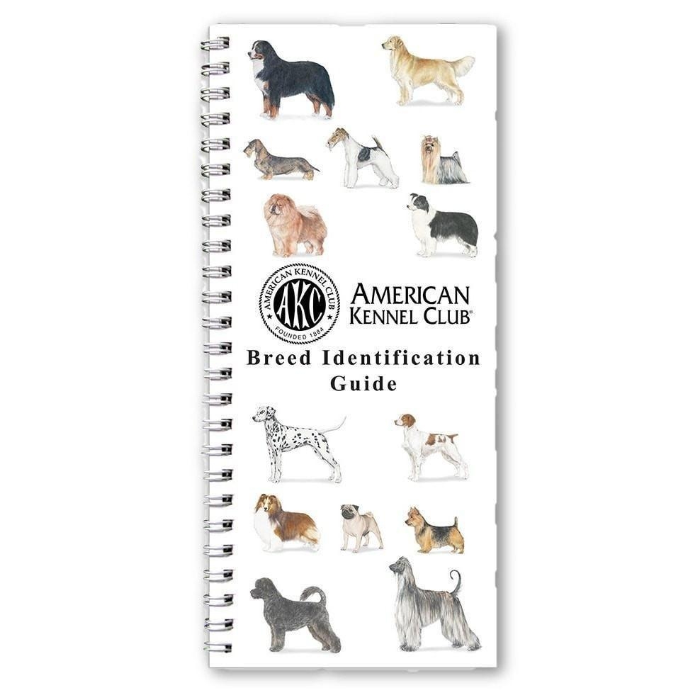 Breeds Chart Small Breed Dog Size Small Dogs Breed Bundle Png Ai Pdf