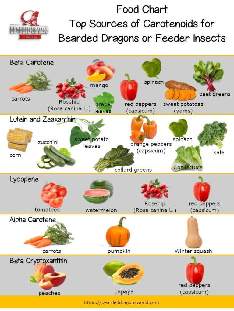 Brighten A Bearded Dragons Color With Carotenoids