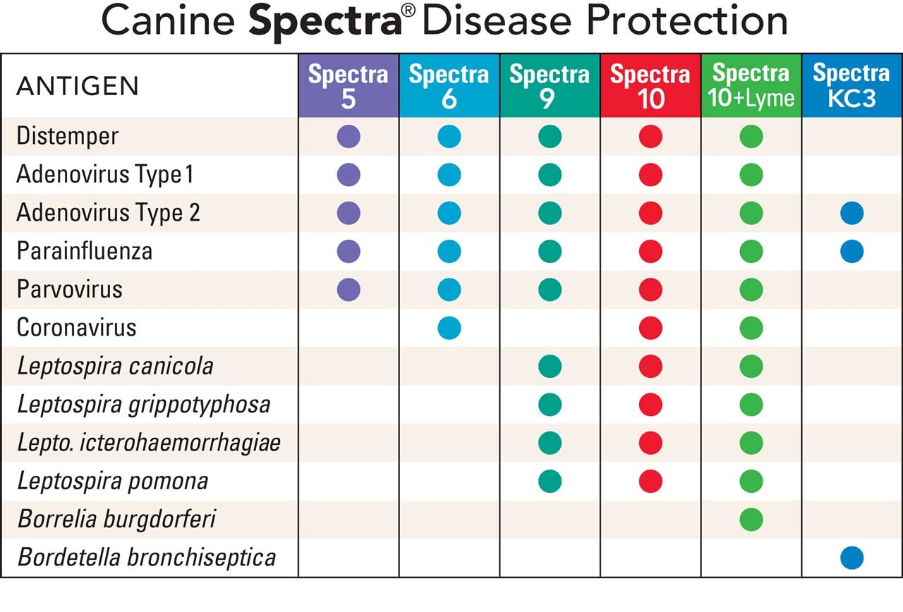 Canine Schedule Protection Charts VaccinateYourPets