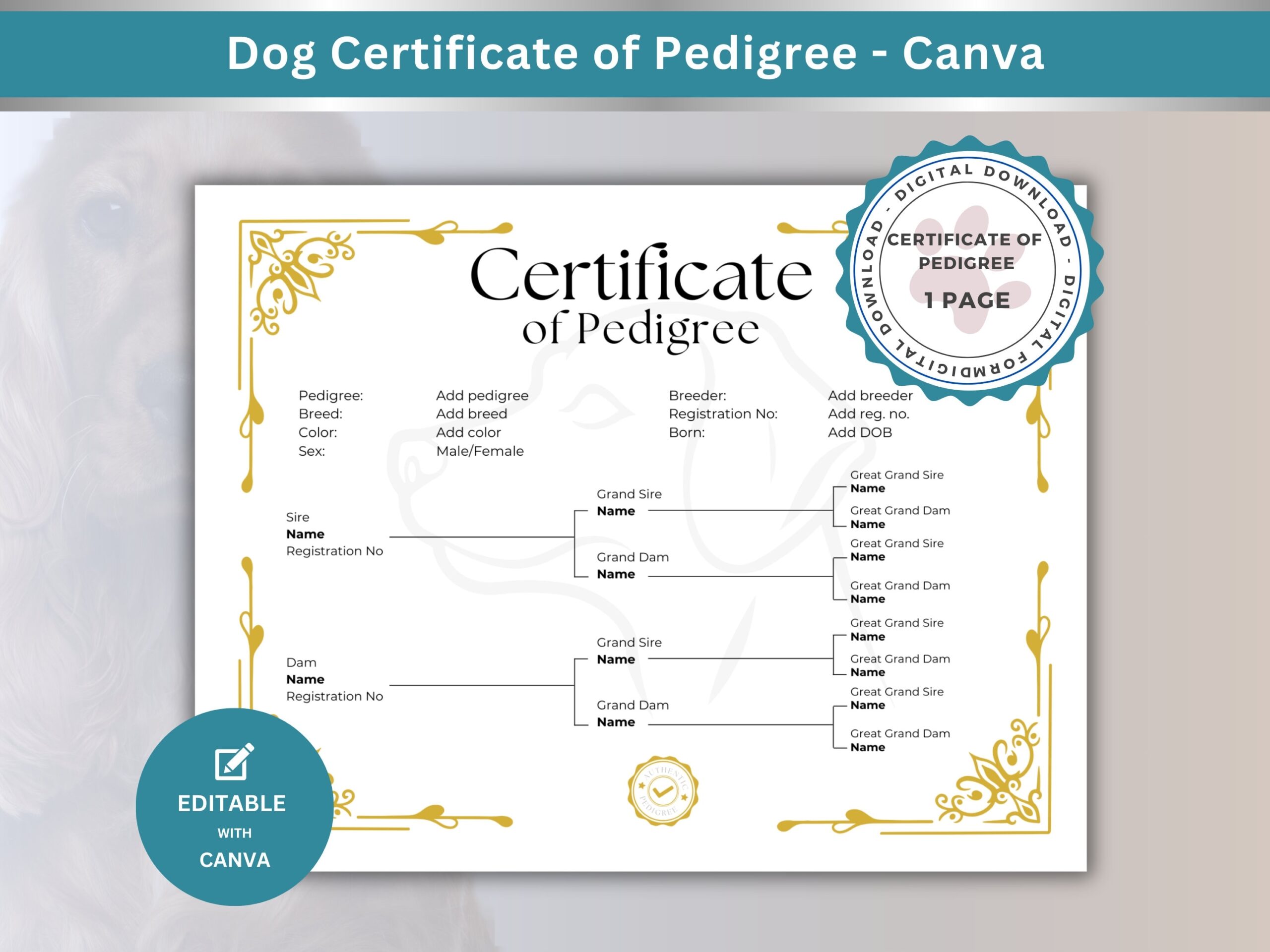 Certificate Of Pedigree That Shows 3 Generations Of Traceable Bloodlines For Dog Breeding Business Proof Of Lineage Certified Pedigree Canva Etsy Certificate Of Pedigree That Shows 3 Generations Of Traceable Bloodlines For Dog Breeding Business Proof Of Lineage Certified Pedigree Canva Etsy