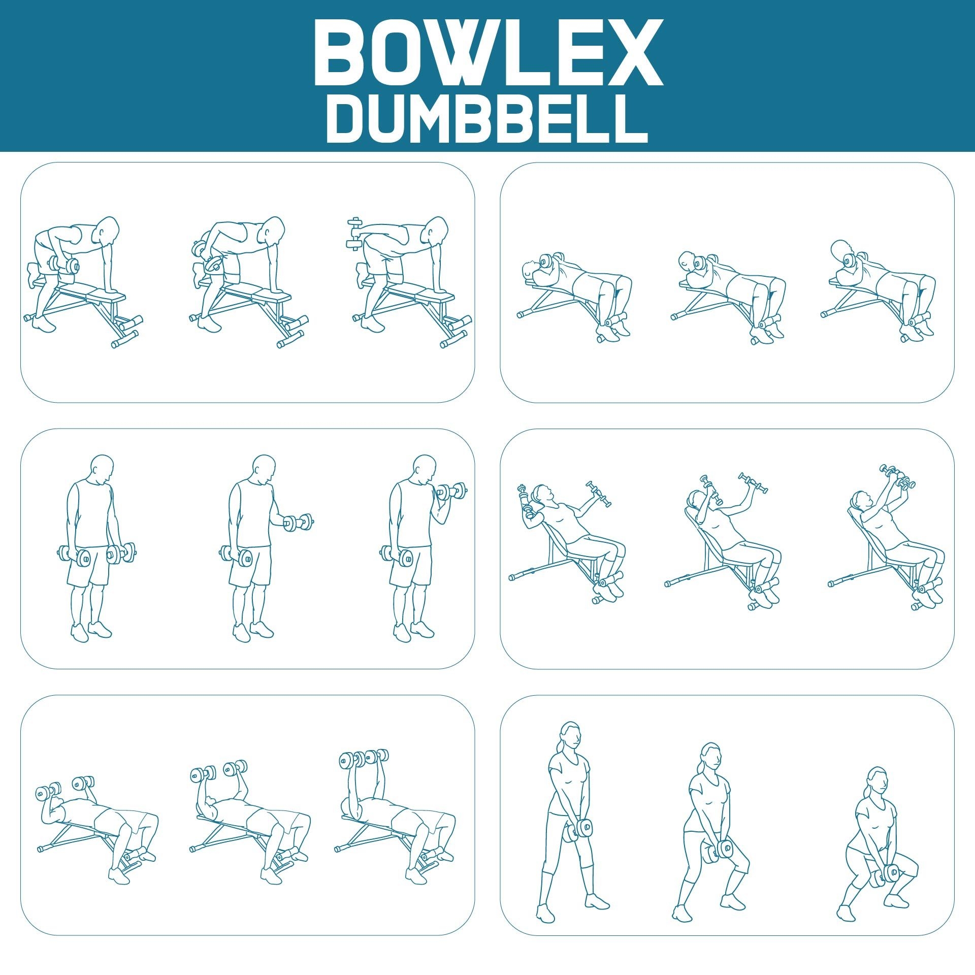Chart Bowflex Revolution Workouts Bowflex Ultimate Bowflex Revolution Workout Plan Printable Bowflex Chart Bowflex Revolution Workouts Bowflex Ultimate Bowflex Revolution Workout Plan Printable Bowflex